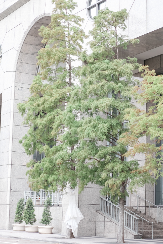 Lifelong Photography Studio Wedding Hilton Downtown Tampa MMTB Feature