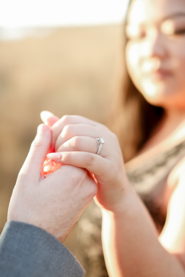 Lifelong Photography Studio Engagement Weeki Wachee