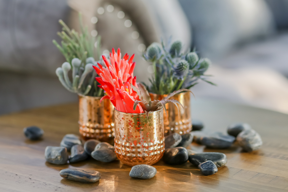 Lifelong Photography Studio Postcard Inn Stylized Shoot Featured Tacari Weddings
