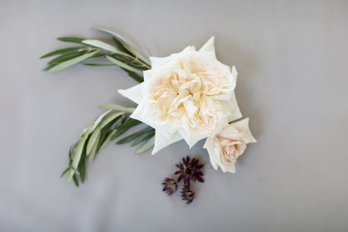 Lifelong Photography Studio Stylized Shoot
