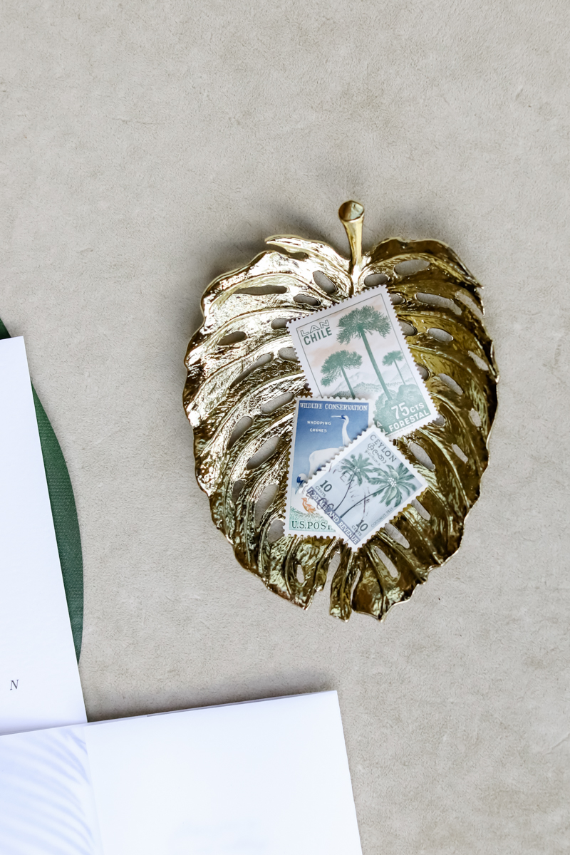 Lifelong Photography Studio Tropical Boho Stylized Shoot CCR