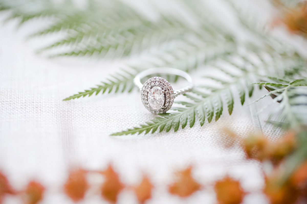 Lifelong Photography Studio Postcard Inn Stylized Shoot