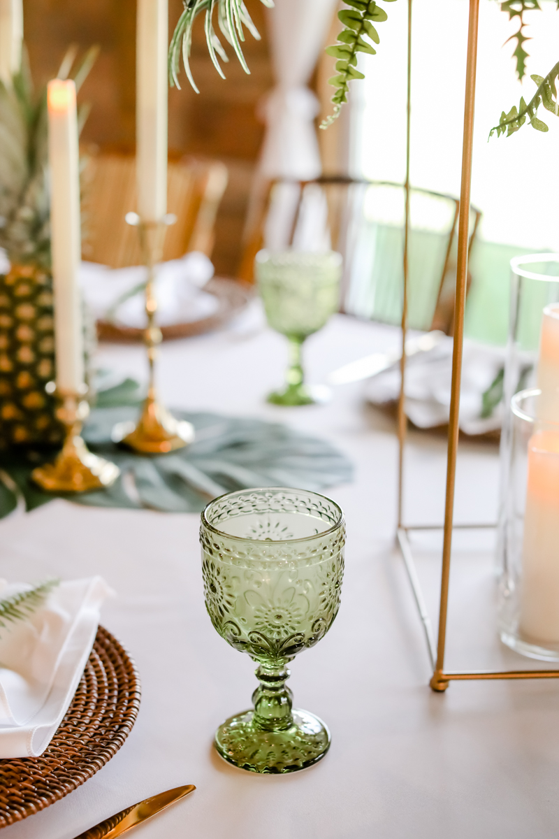 Lifelong Photography Studio Tropical Boho Stylized Shoot CCR