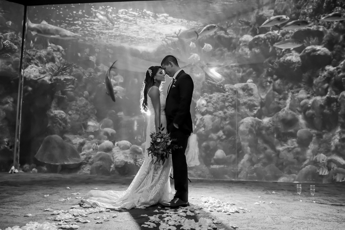 Lifelong Photography Studio Florida Aquarium Wedding featured