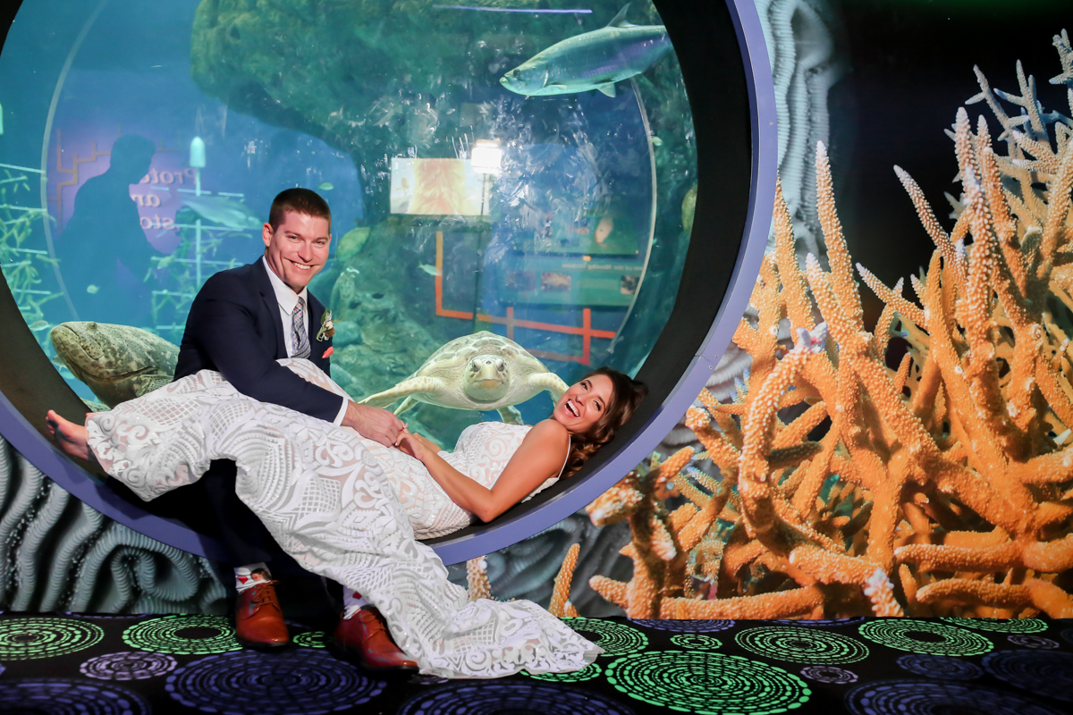 Lifelong Photography Studio Florida Aquarium Wedding featured