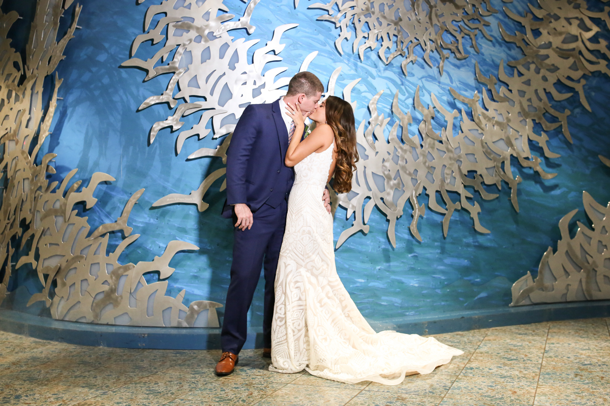 Lifelong Photography Studio Florida Aquarium Wedding featured