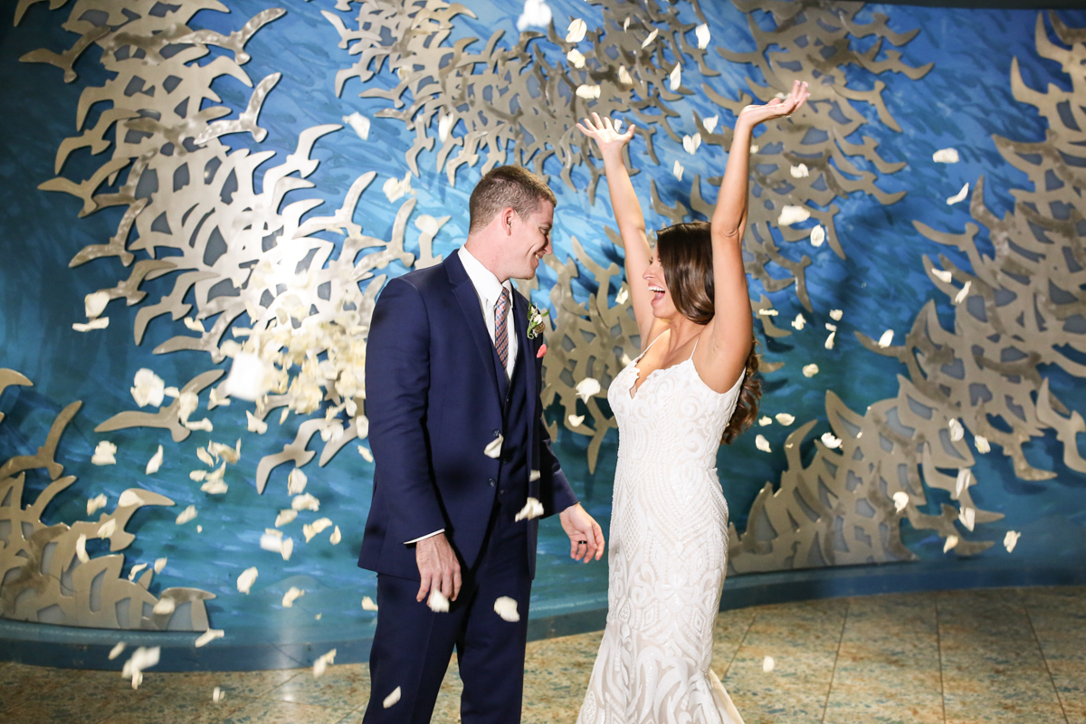 Lifelong Photography Studio Florida Aquarium Wedding featured