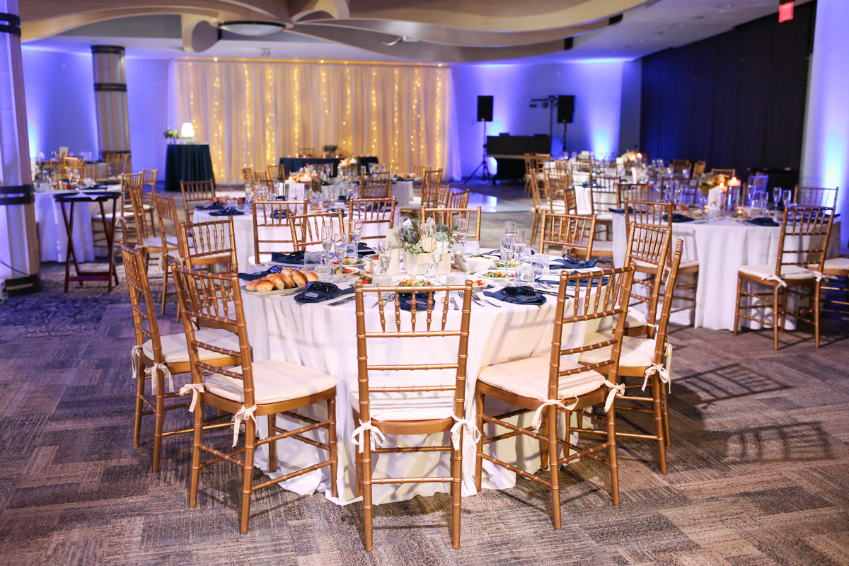 Lifelong Photography Studio Florida Aquarium Wedding featured