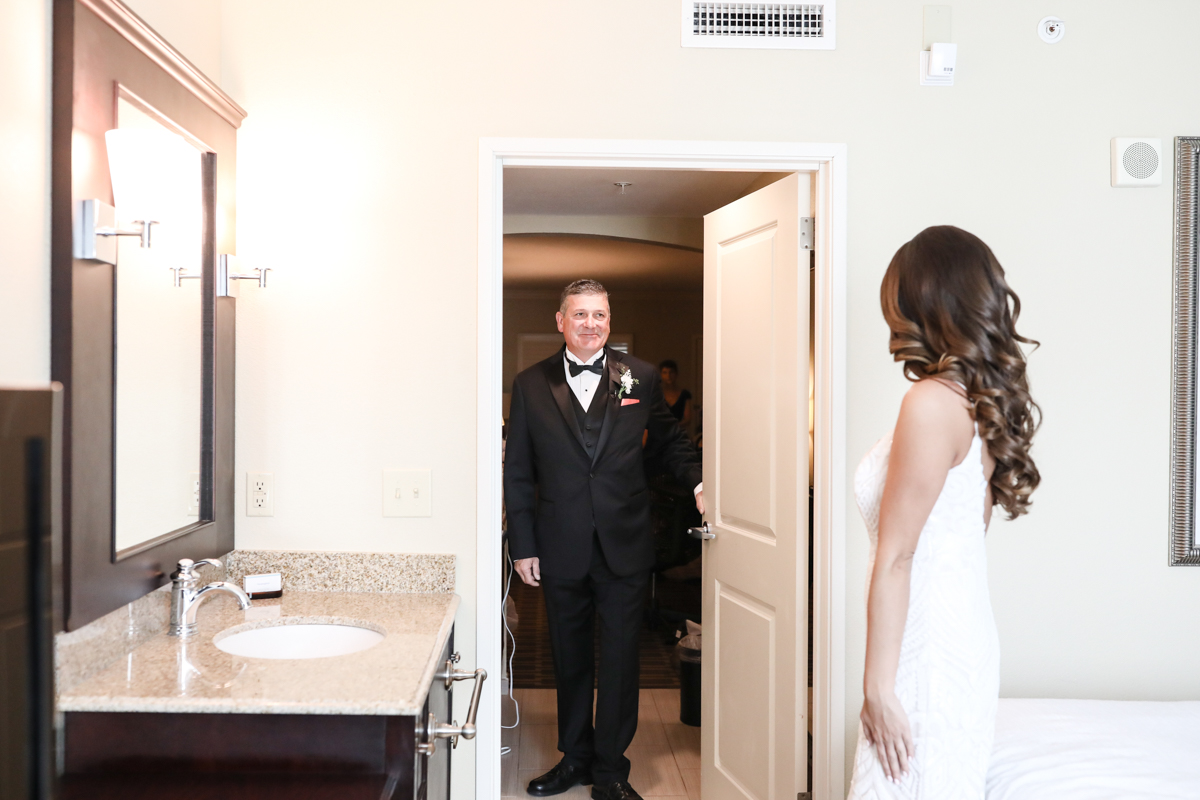 Lifelong Photography Studio Florida Aquarium Wedding featured