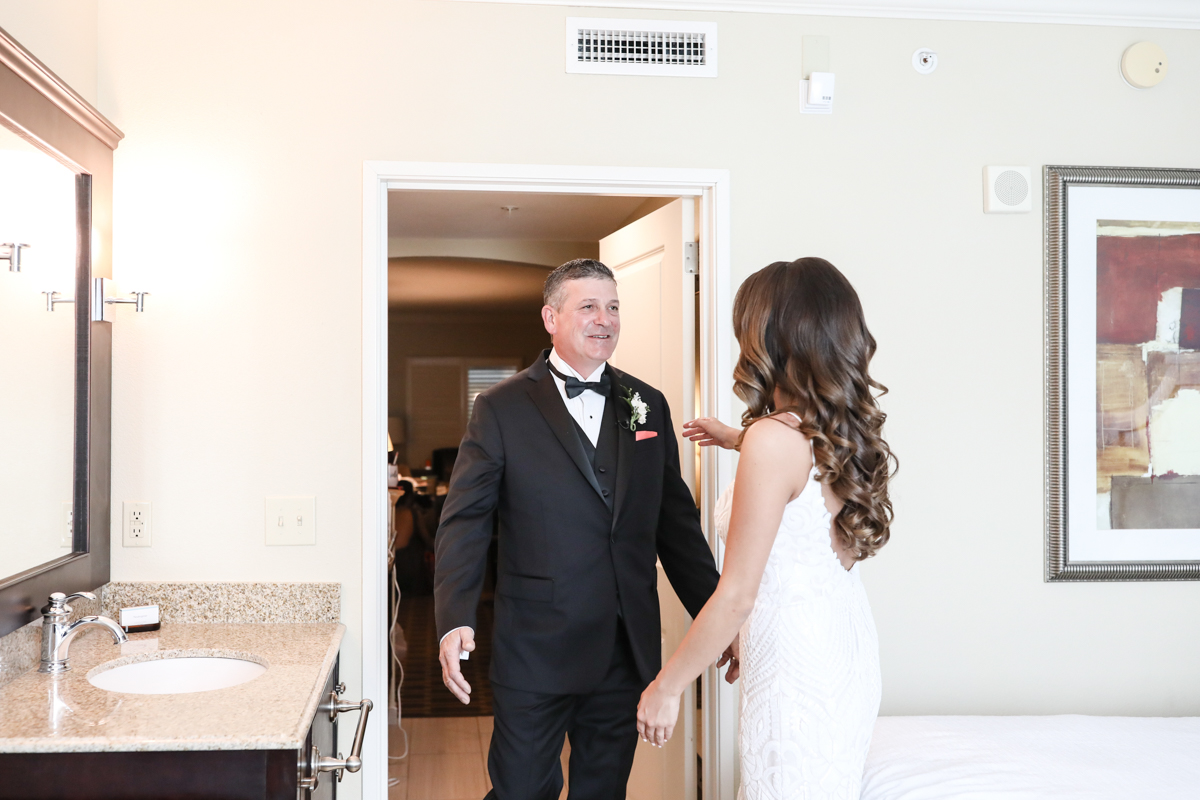 Lifelong Photography Studio Florida Aquarium Wedding featured