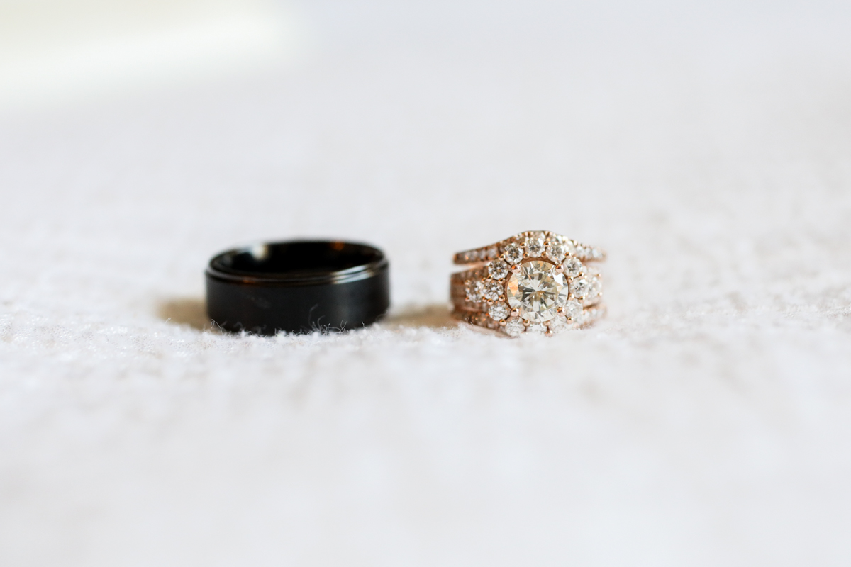 Lifelong Photography Studio Florida Aquarium Wedding featured