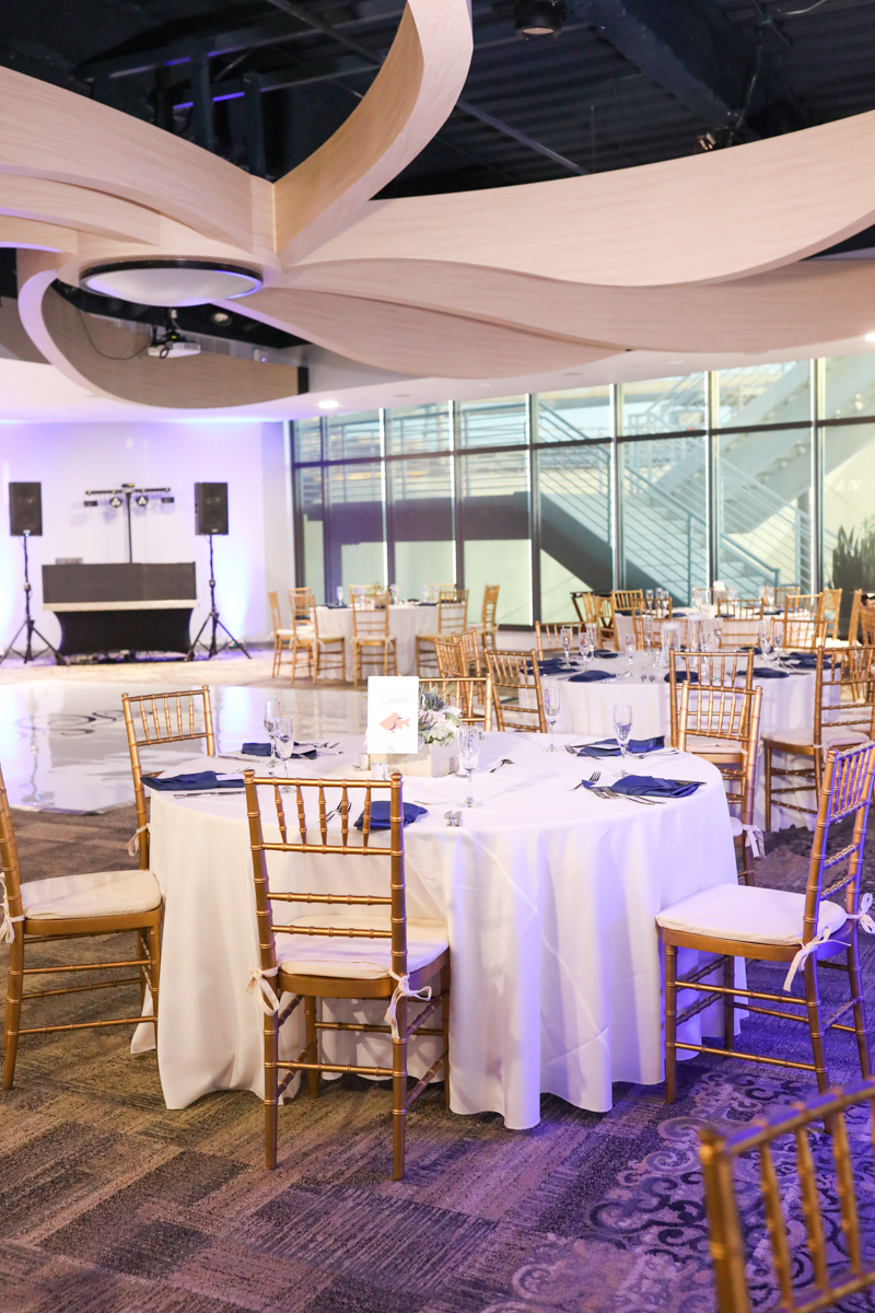 Lifelong Photography Studio Florida Aquarium Wedding featured