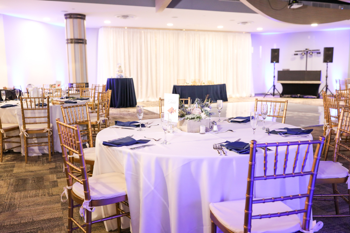 Lifelong Photography Studio Florida Aquarium Wedding featured