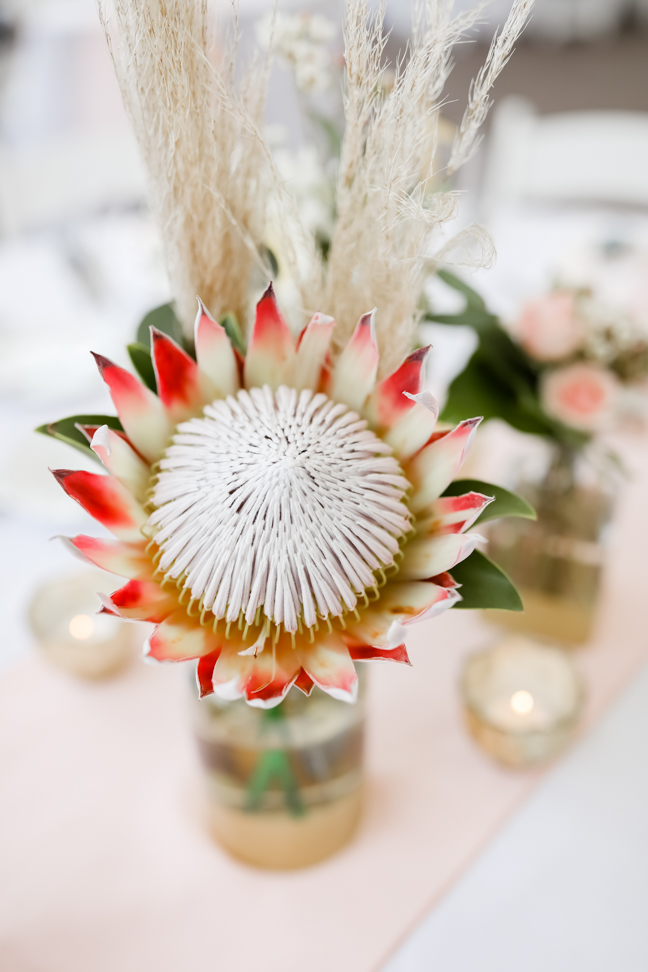 Lifelong Photography Studio Wedding Hilton Clearwater Beach