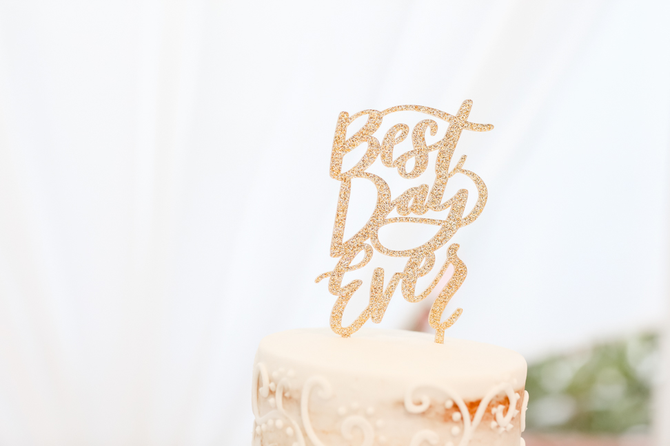 Lifelong Photography Studio Wedding Hilton Clearwater Beach