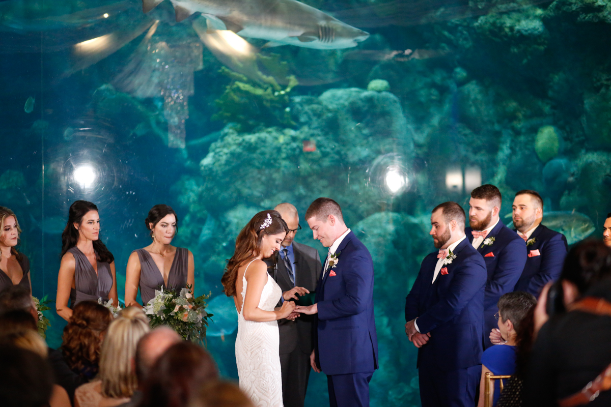 Lifelong Photography Studio Florida Aquarium Wedding featured