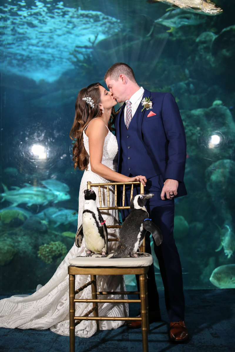 Lifelong Photography Studio Florida Aquarium Wedding featured