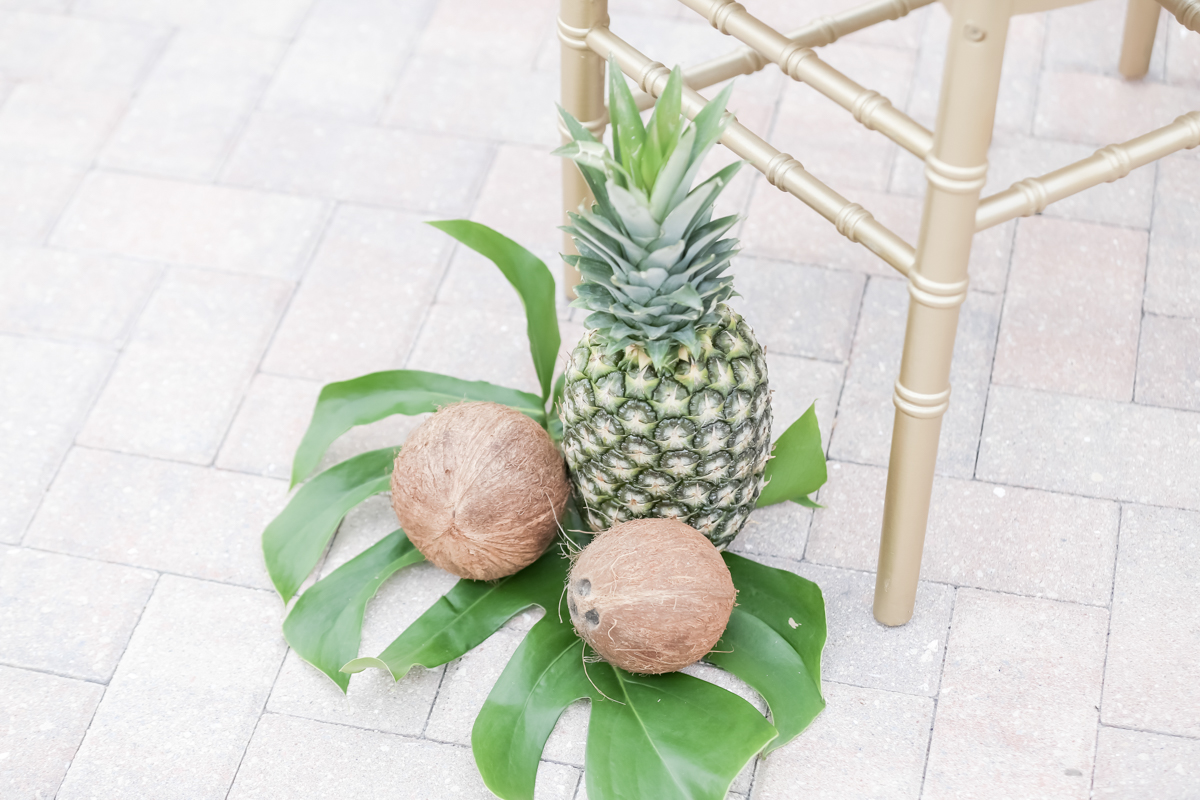 Lifelong Photography Studio Hyatt Regency Clearwater Beach Wedding MMTB