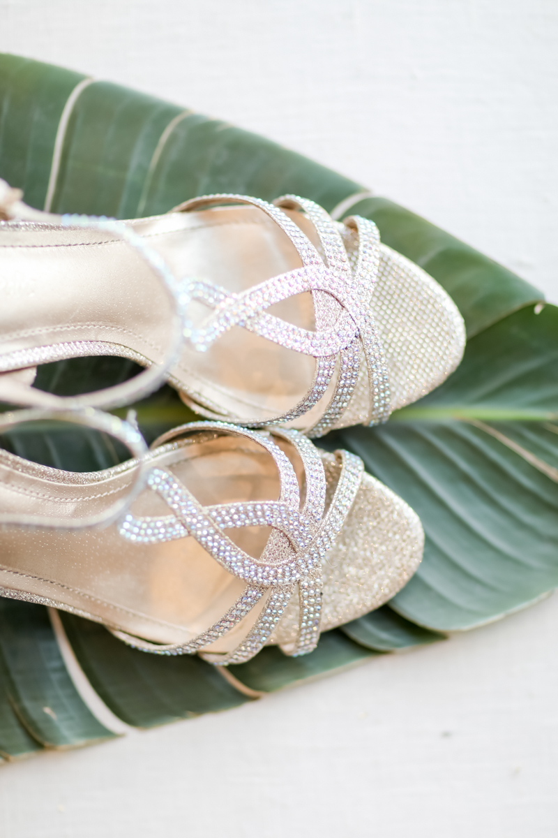 Lifelong Photography Studio Hyatt Regency Clearwater Beach Wedding MMTB